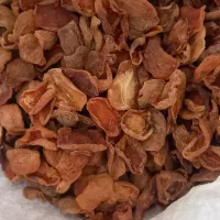 کشک محلی ومحصولات ارگانیک محلی|حراج|شیراز, گویم|دیوار