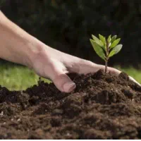 پخش انواع کود