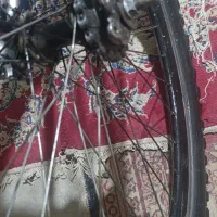 سالم|دوچرخه، اسکیت، اسکوتر|زهک, |دیوار