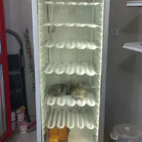 فریزر ایستاده kno