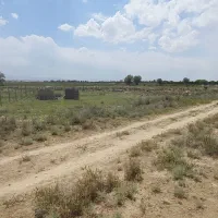 زمین-باغ-و-باغچه-روستای-خرم-آباد-هم-قیمت-موتور