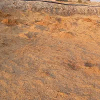 گاه زرد برای کاه گل|عمدهفروشی|زابل, |دیوار