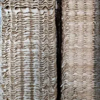 شونه تخم مرغ