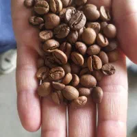 قهوه‌ رست‌ شده