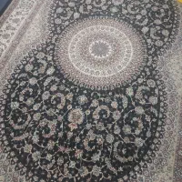 فروش فرش نو|فرش|همدان, |دیوار