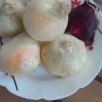 پیاز|خوردنی و آشامیدنی|فردوس (خراسان), |دیوار