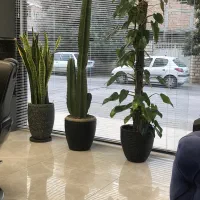 نیازمند ب یک ارایشگر اقا با سابقه ۳ سال کاری