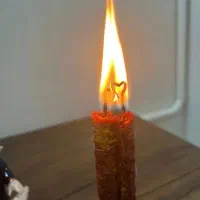 طالع بینی شوکه کننده|خدمات پذیرایی، مراسم|تربتحیدریه, میدان مرکزی|دیوار