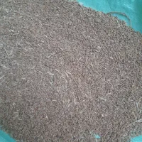 گندم دیم خوراکی|لوازم جانبی حیوانات|گرگان, |دیوار