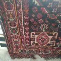 قالی ترکی دستباف قدیمی|فرش|شیراز, تاچارا|دیوار