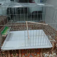 ۲عدد قفس مناسب طوطی وعروس هلندی)مرغ عشق(