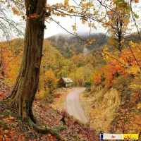 حواله سورن پلاس