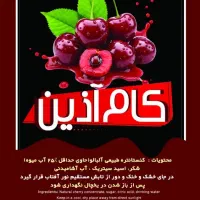 اب زرشک .آب انار .آب آلبالو. آب پرتقال|خوردنی و آشامیدنی|تهران, ترمینال جنوب|دیوار