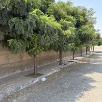 ۵۷۳ متر /  چهار دیواری / سند تک برگ /  رامجین