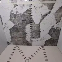 کاشی کاری سرامیک کاری بصورت کلی وجزئی|خدمات پیشه و مهارت|اصفهان, برازنده|دیوار