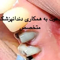 همکار دندانپزشک متخصص