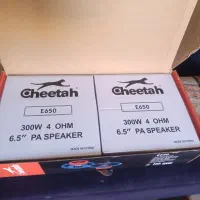 باند مارک چیتا|صوتی و تصویری|شیراز, کوشک میدان|دیوار