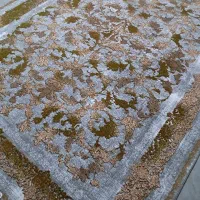 فرش  دست بافت رستمی