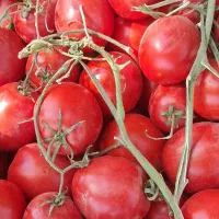 یک سبد نارنگی|خدمات حمل و نقل|انار, |دیوار