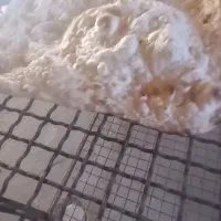 نان لواش محلی مجن|خوردنی و آشامیدنی|بسطام, |دیوار