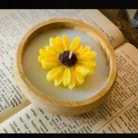 شمع بابونه و آفتاب گردون فقط پنج هزار تومن