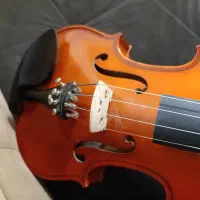 ویولون چهاردرچهار|ویولن|بندرعباس, |دیوار