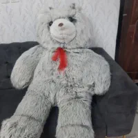 خرس پشمی بزرگ
