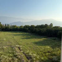 اجاره روزانه و هفتگی