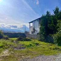 پلاک-1جنگل-زمین-آوردم-براتون-طلا-نقد-اقساط