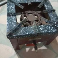 دوتا کپسول ۱۱ کیلو پارس نو پُر و پیکنیک ۶کیلو باسر