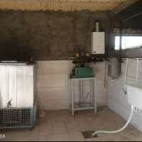 فروش دامداری|فروش دفتر صنعتی، کشاورزی، تجاری|سبزوار, قصبه غربی|دیوار