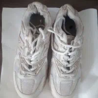 کفش|کیف، کفش، کمربند|تالش, هشتپر|دیوار