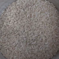 برنج عنبر بو