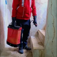 سمپاشی موریانه زدایی سم پاشی سوسک ساس|خدمات نظافت|بندر ماهشهر, |دیوار