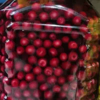 ترشی البالو