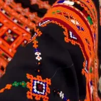 دوچگر طناب  شیرگ