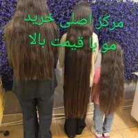 خریدمو فروش درمنزل وسالن خریدار اصلی خریدار مو