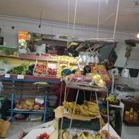 واگذاری-میوه-فروشی