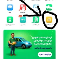 درآمد  خانگی اسنپ