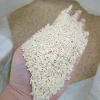 برنج چمپا درجه ۱