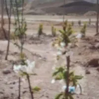 فراخوان عمومی جهت تفکیک