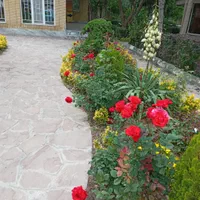 خدمات باغبانی و فضای سبز گل چمن نهال هرس و...|خدمات باغبانی و درختکاری|مشهد, توس (بلوار توس)|دیوار