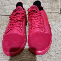 کفش|کیف، کفش، کمربند|بجنورد, |دیوار