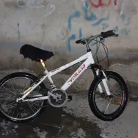 دوچرخی ۲۰دنده ای