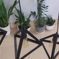 لوستر فانتزی|لوستر و چراغ آویز|پاکدشت, پاکدشت (مامازند)|دیوار