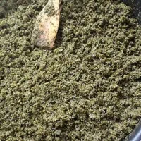 نیروی کار جهت شستشو و خرد کردن سبزی