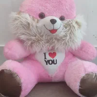 عروسک ( خرسی)|اسباب‌‌بازی|زنجان, |دیوار