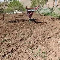 تیلر زنی شخم زنی سم پاشی دستکاه چاله کن