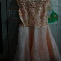 لباس مجلسی زنانه|لباس|زابل, |دیوار