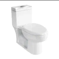 توالت فرنگی چینی کرد لویزا